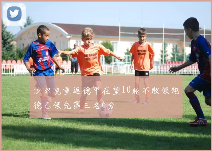 沙尔克重返德甲在望10轮不败领跑德乙领先第三名6分